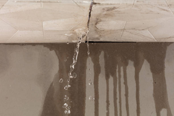 Professional Burst Pipe Cleanup technician working in Grandview, IL